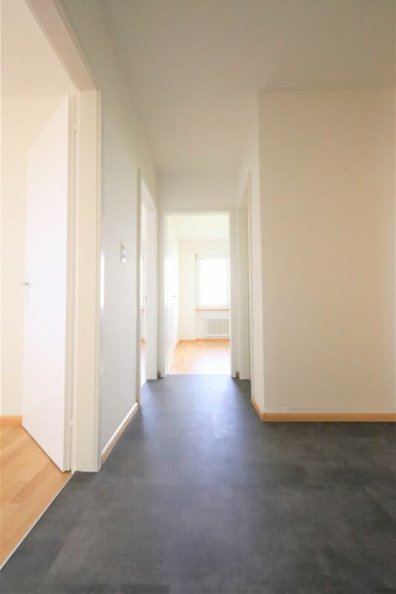 Appartamenti moderni in proprietà ristrutturata nel quartiere di Längi (4)