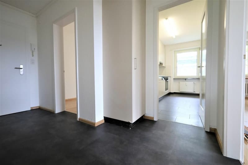 Appartamenti moderni in proprietà ristrutturata nel quartiere di Längi (3)