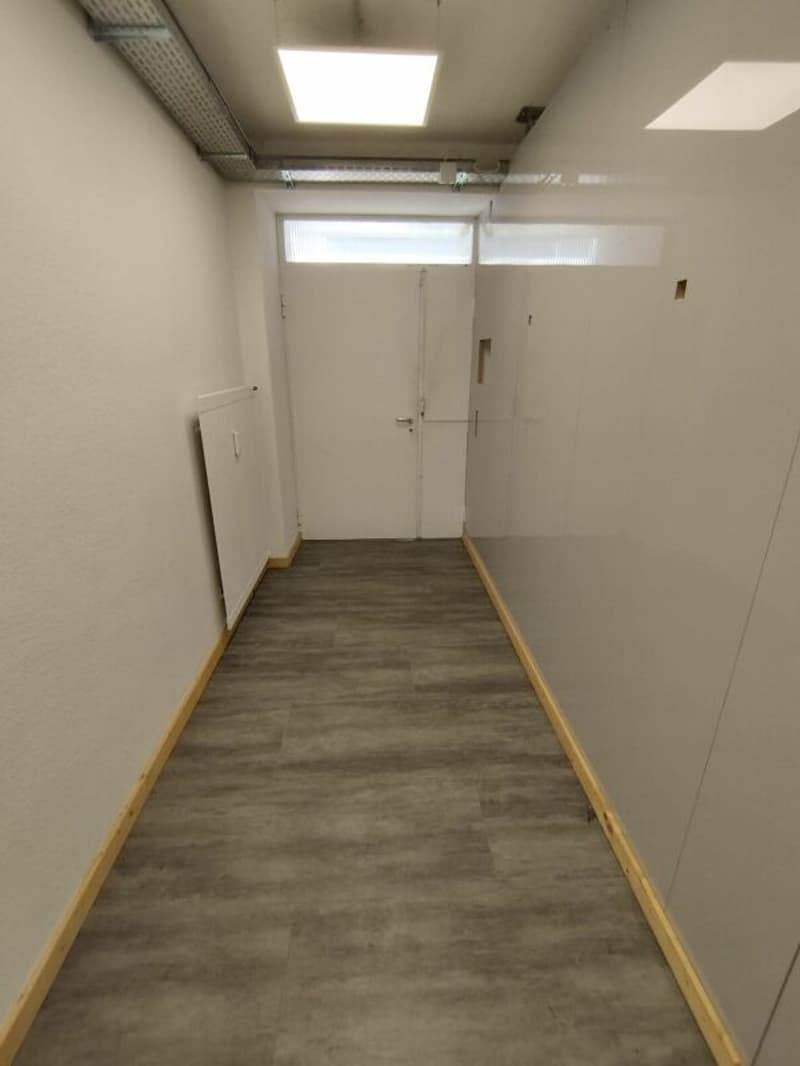 Commerce/Bureau/Entrepôt à Binningen (3)