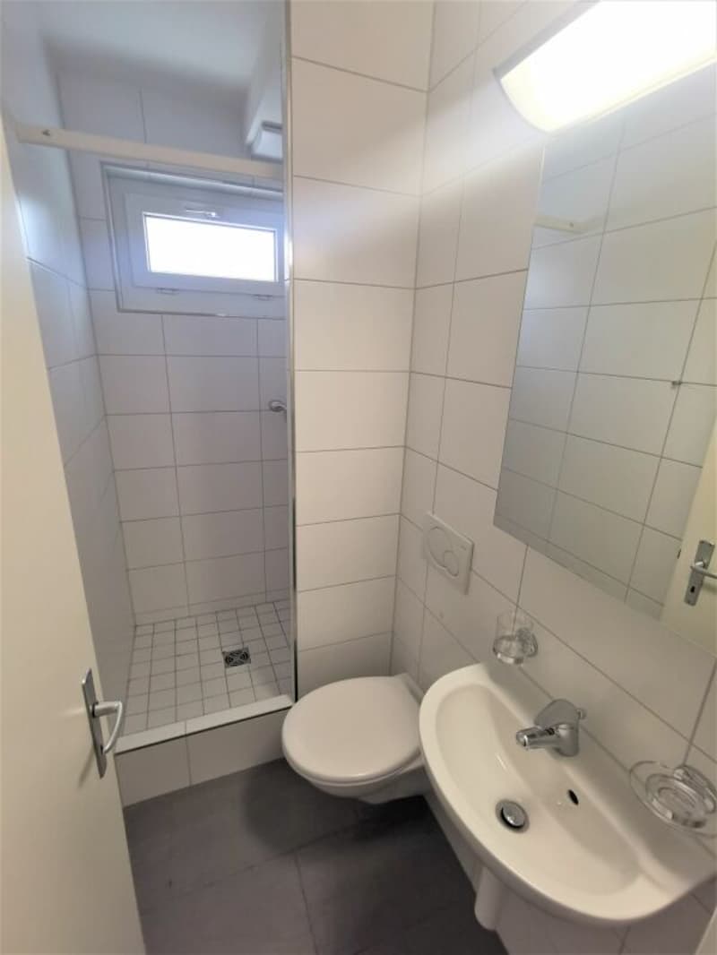 Appartamento 4.5 locali a Reinach (4)