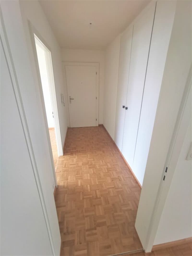 Appartamento 4.5 locali a Reinach (5)