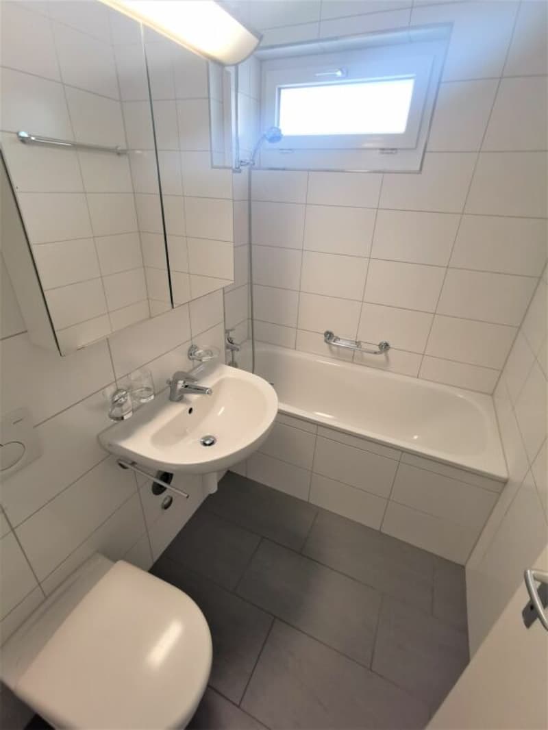 Appartamento 4.5 locali a Reinach (3)
