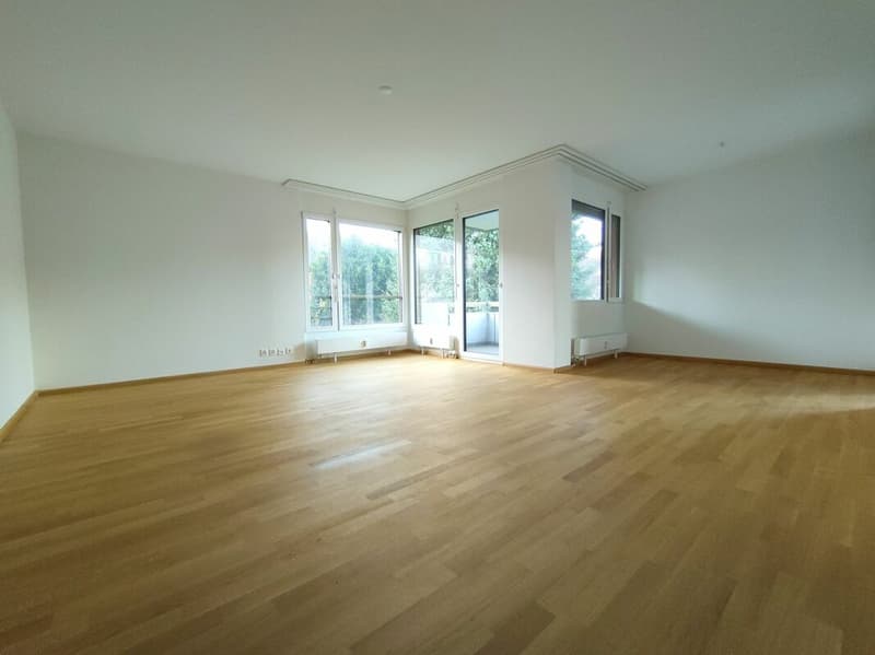 Large 4.5-room apartment in Reinach (2)