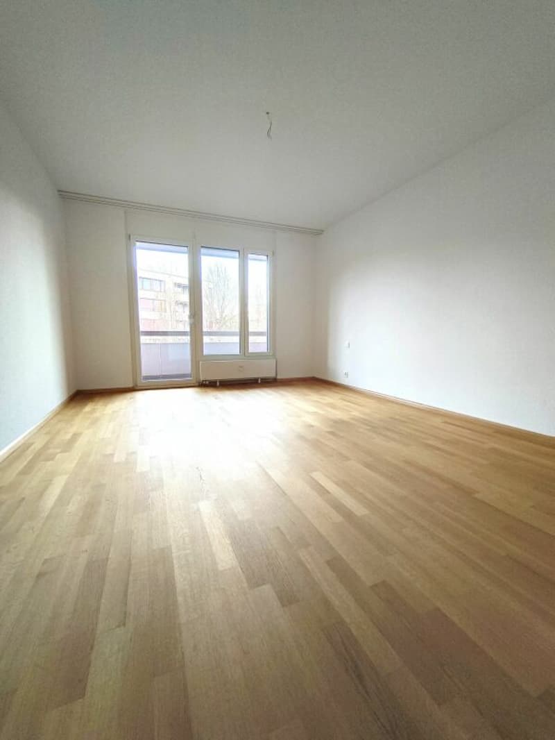 Large 4.5-room apartment in Reinach (3)