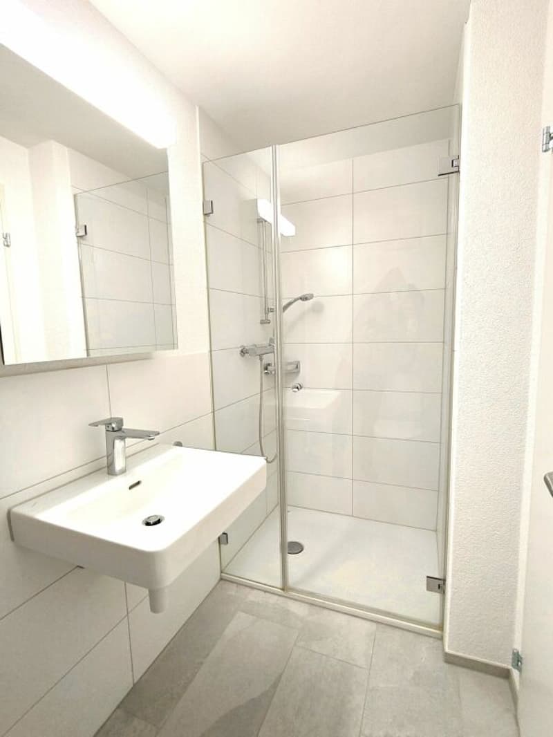Large 4.5-room apartment in Reinach (10)