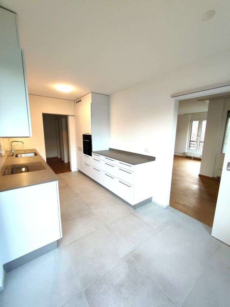 Large 4.5-room apartment in Reinach (6)