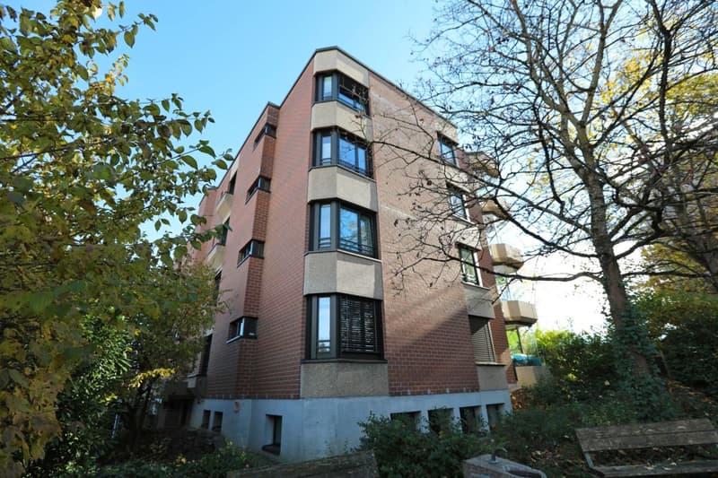 Appartamento moderno di 5 locali ad Aesch (10)