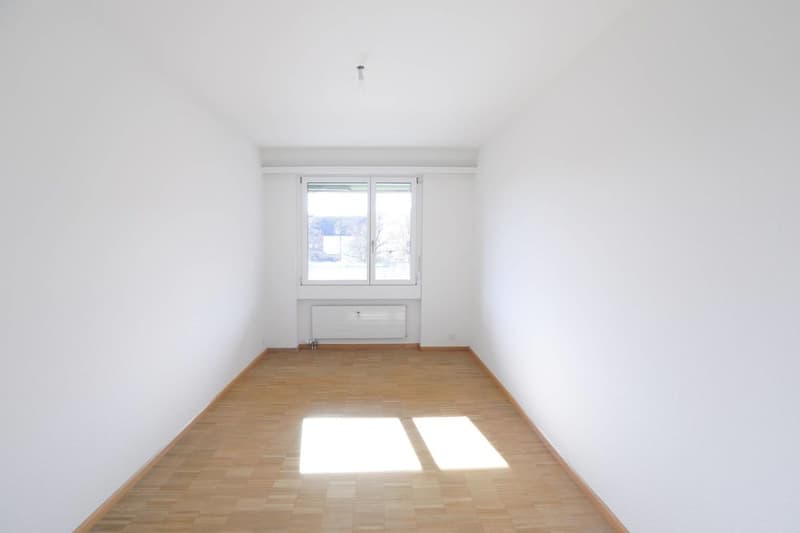 Appartamento moderno di 5 locali ad Aesch (8)
