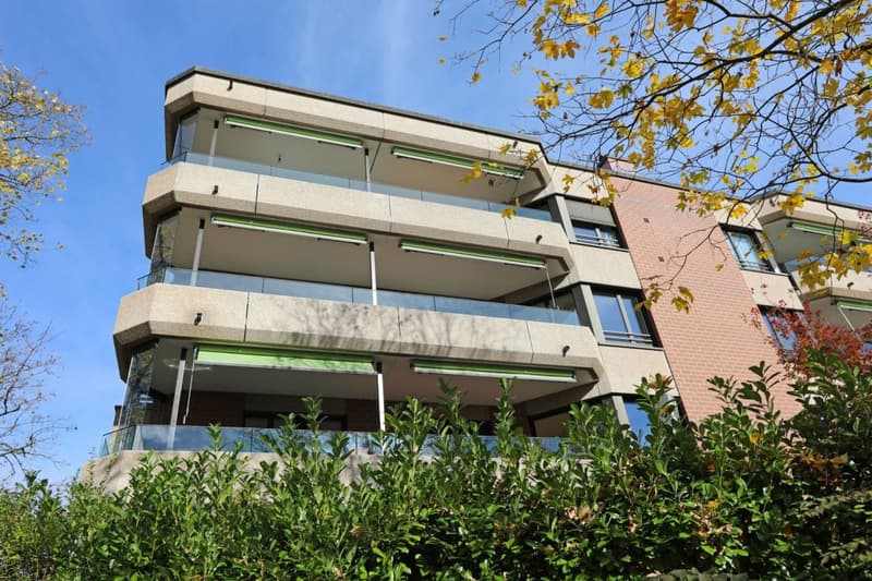 Appartamento moderno di 5 locali ad Aesch (11)