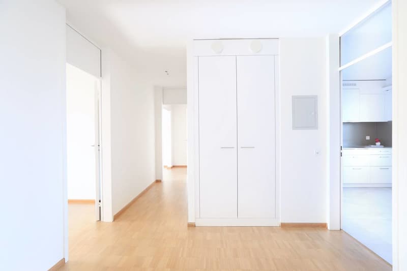 Appartamento moderno di 5 locali ad Aesch (4)