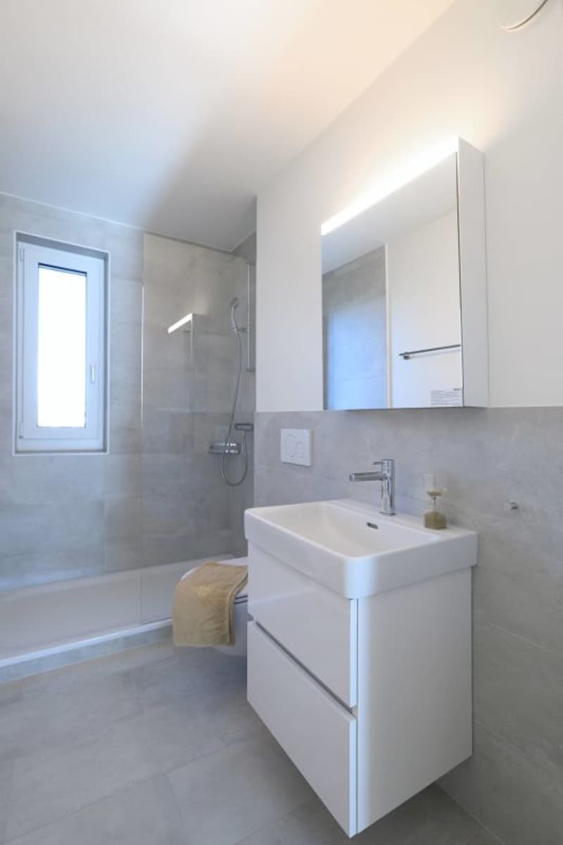 Appartamento moderno di 5 locali ad Aesch (2)