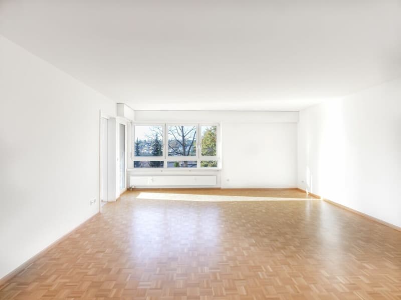 Appartamento moderno di 4,5 locali a Oberwil (7)