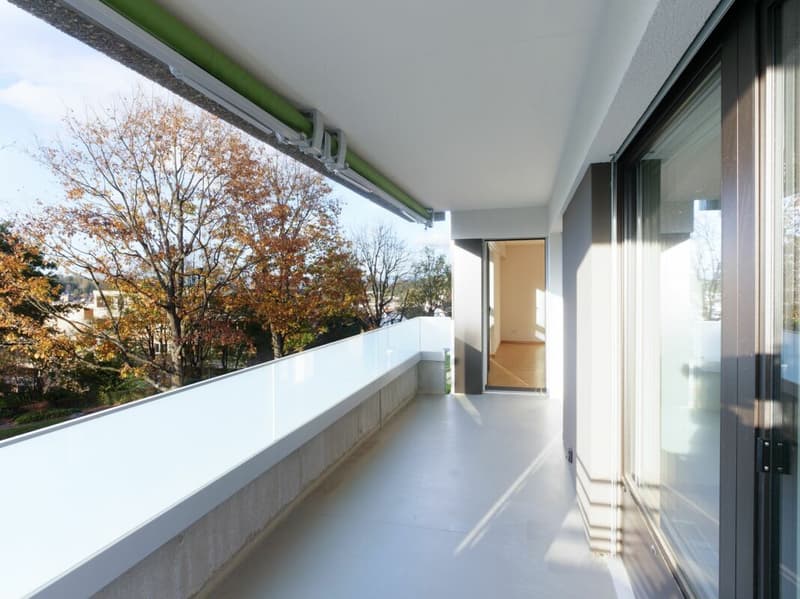 Appartamento moderno di 4,5 locali a Oberwil (10)