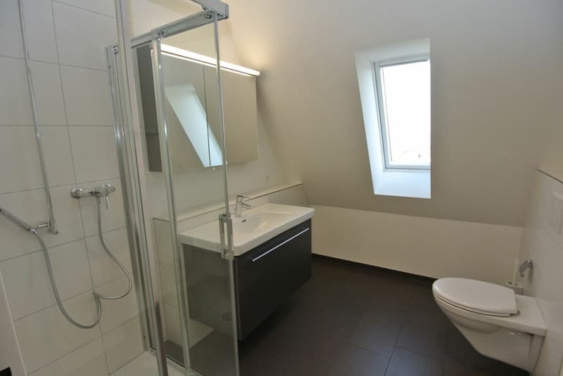 Ideale Singlewohnung (4)