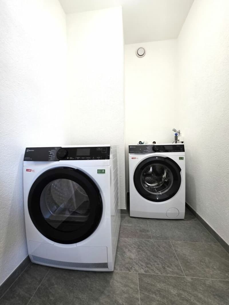 Sanierte 3.5 Zimmerwohnung in ruhigem Quartier (7)