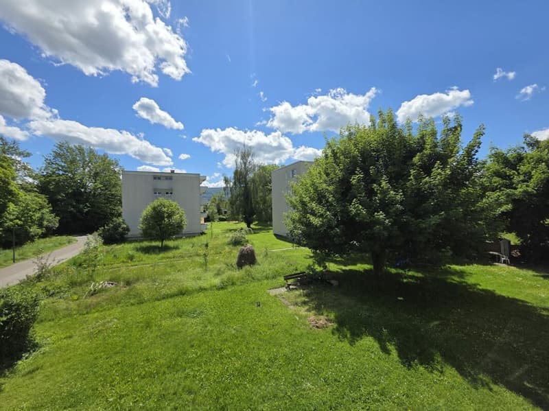 Sanierte 3.5 Zimmerwohnung in ruhigem Quartier (6)