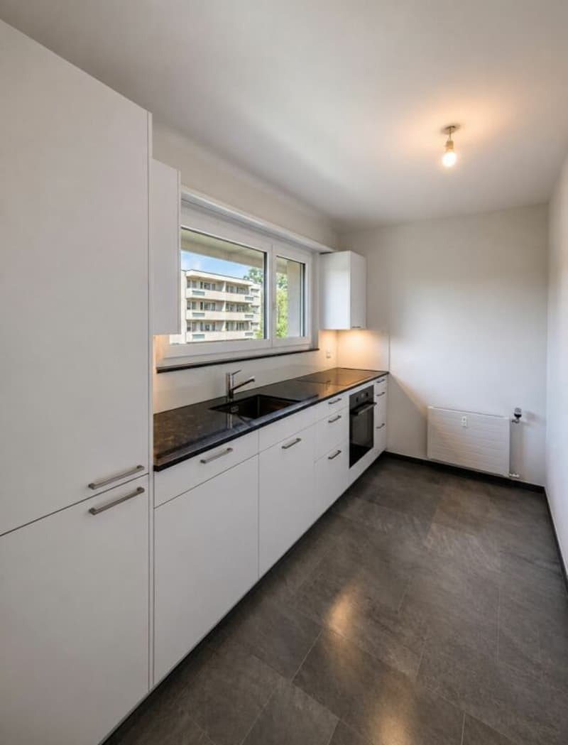 Sanierte 3.5 Zimmerwohnung in ruhigem Quartier (2)