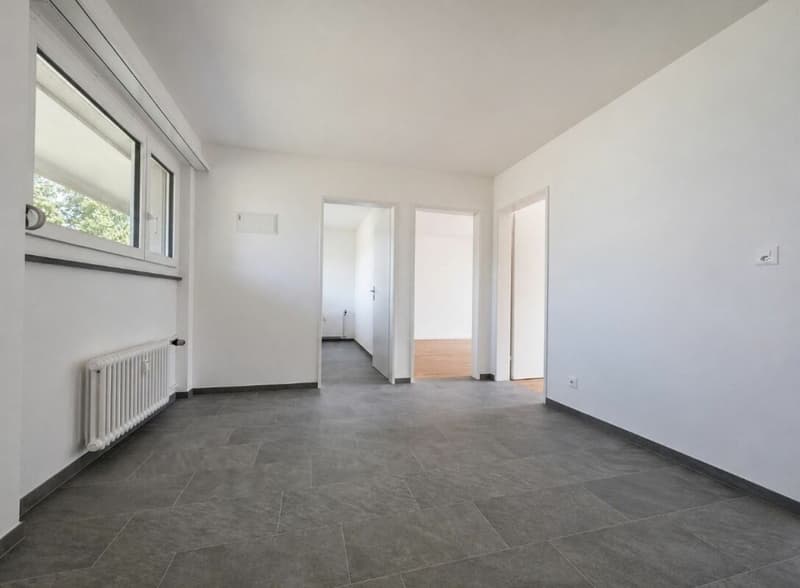Sanierte 3.5 Zimmerwohnung in ruhigem Quartier (5)