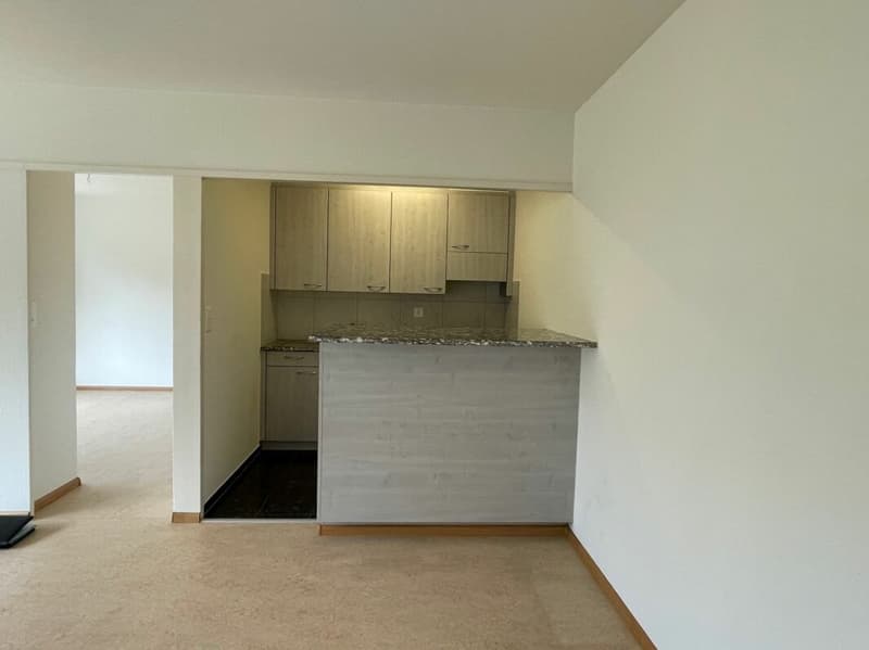 Appartement 2 pièces à Birsfelden (5)