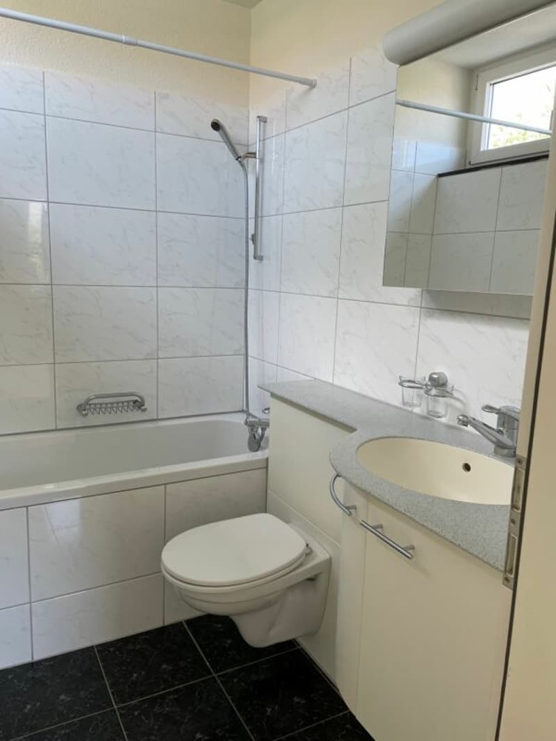 Appartement 2 pièces à Birsfelden (7)