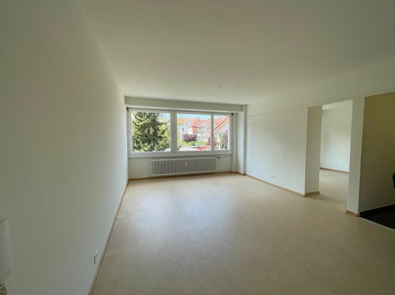 Appartement 2 pièces à Birsfelden (2)