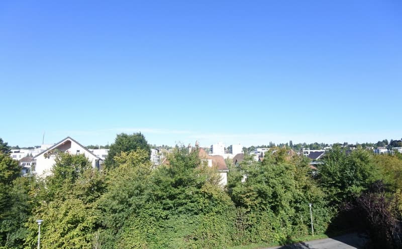 Appartement 2.5 pièces à Oberwil (7)