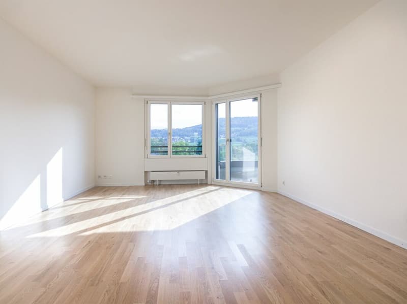 Grosszügige 5.5 Zimmerwohnung in Aesch (8)