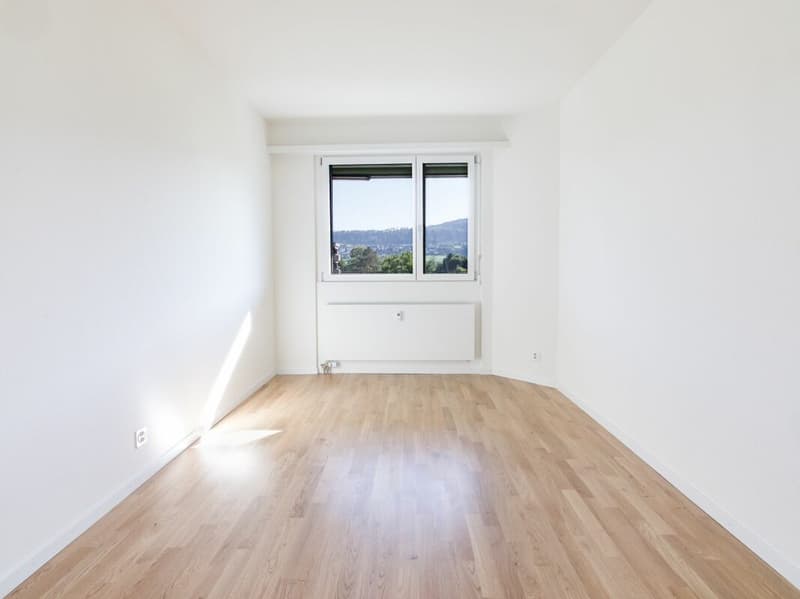 Grosszügige 5.5 Zimmerwohnung in Aesch (9)