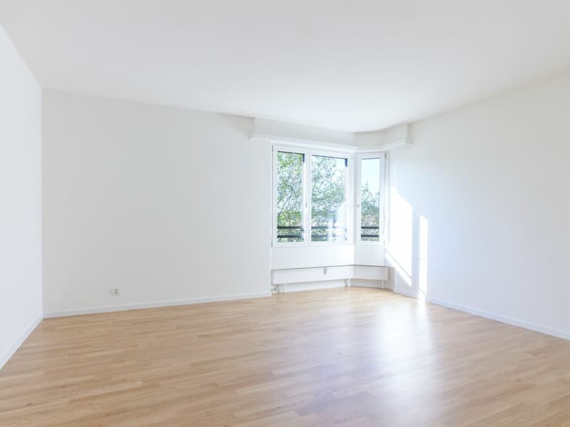 Grosszügige 5.5 Zimmerwohnung in Aesch (7)