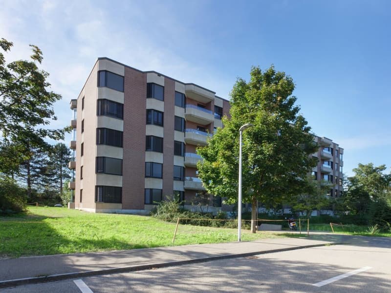 Grosszügige 5.5 Zimmerwohnung in Aesch (1)