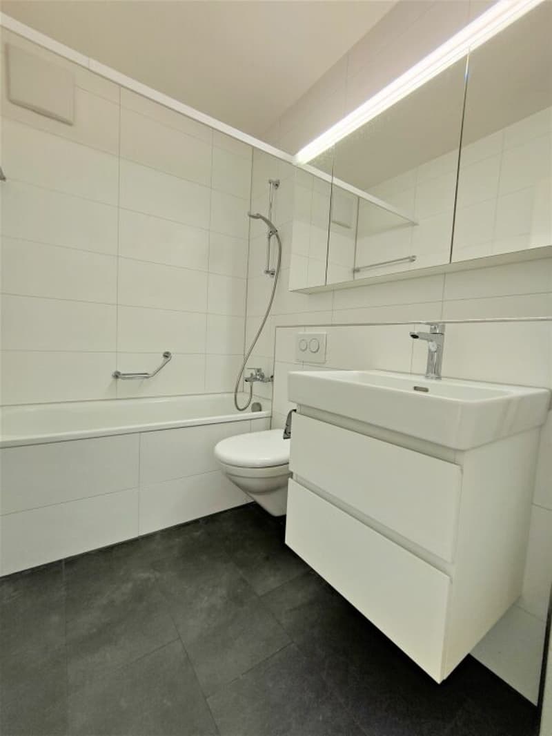 Appartamento di 3 locali a Birsfelden (4)