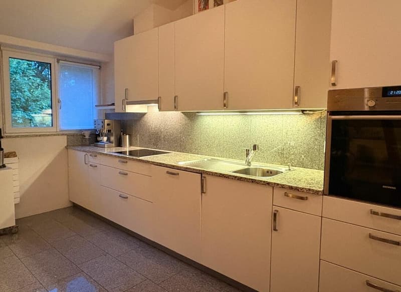 Ampio appartamento di 1,5 locali con balcone (2)
