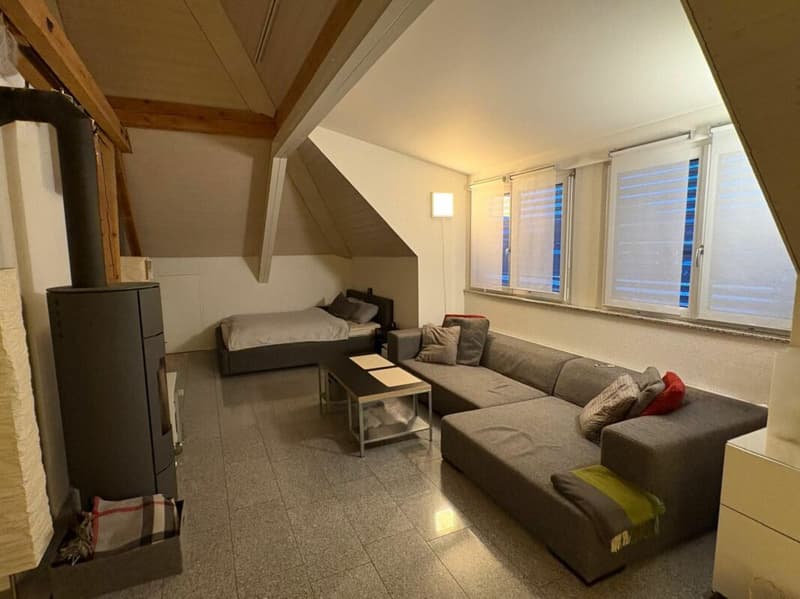 Ampio appartamento di 1,5 locali con balcone (4)