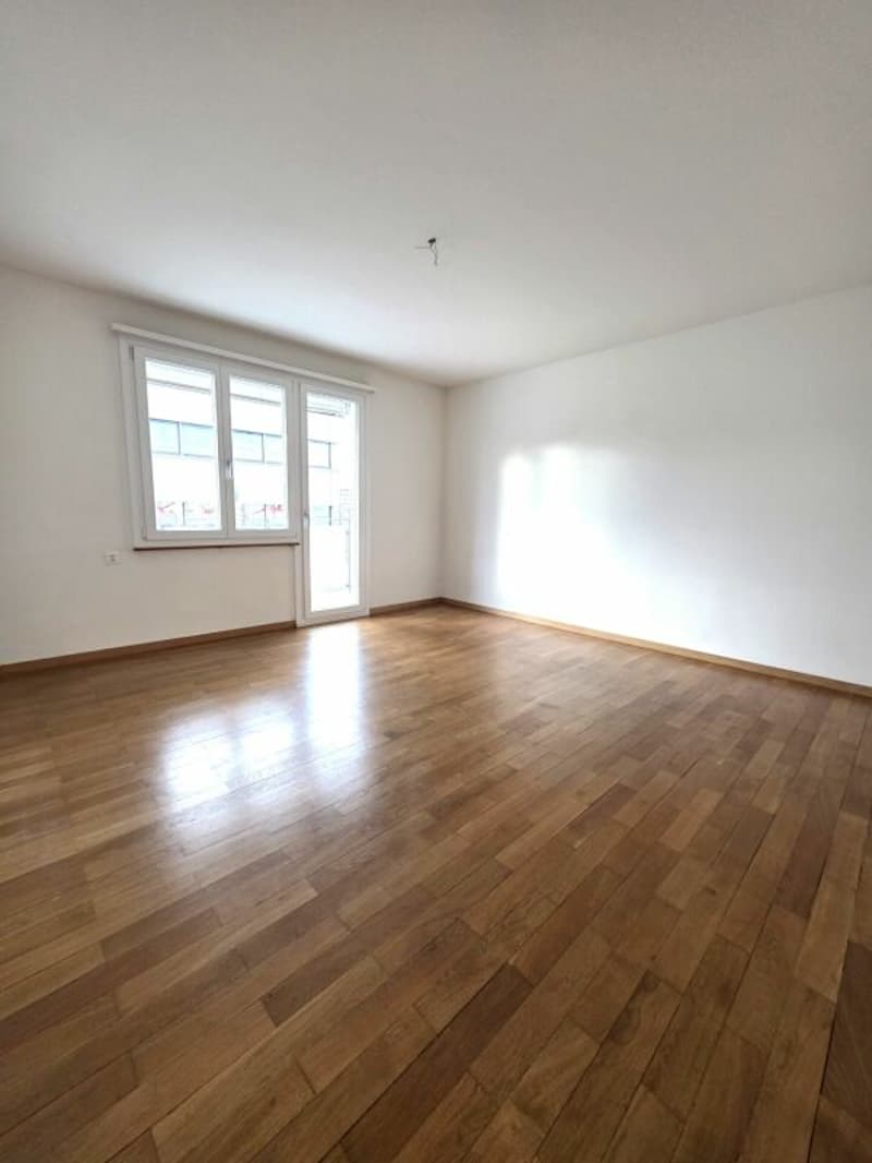 Appartement 3 pièces à Pratteln (3)