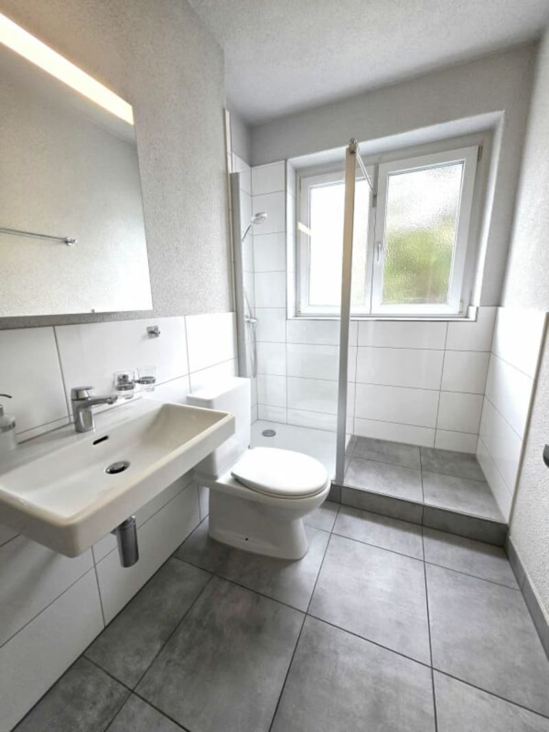 Appartement 3 pièces à Pratteln (5)