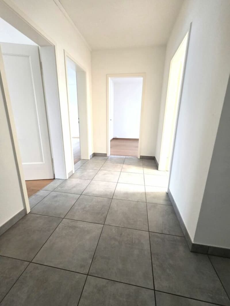 Appartement 3 pièces à Pratteln (2)