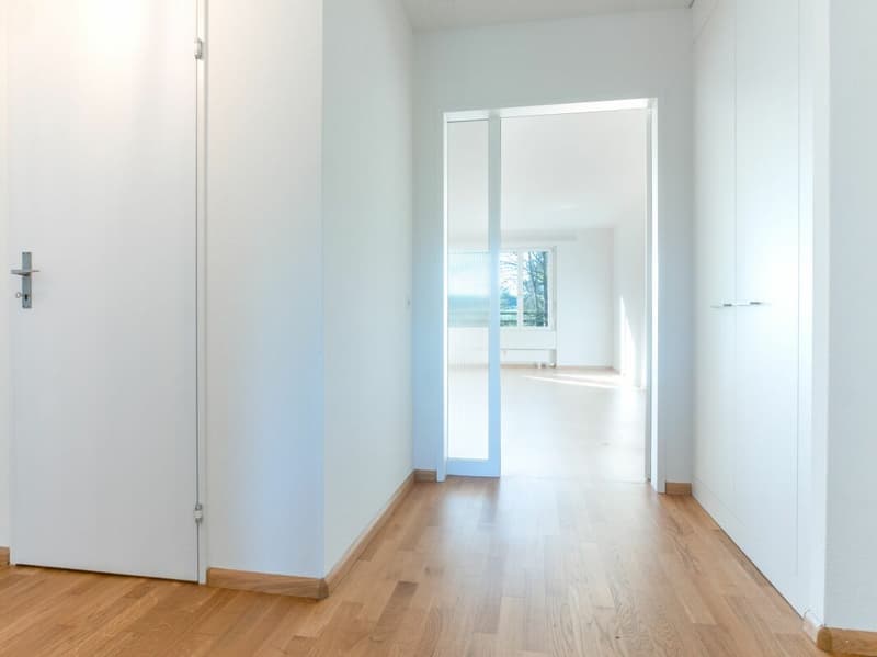 4-Zimmerwohnung in Aesch (5)