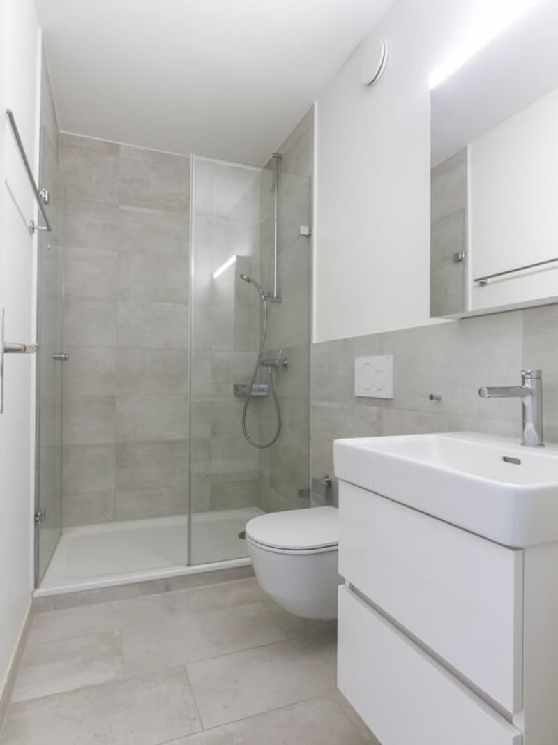 4-Zimmerwohnung in Aesch (4)