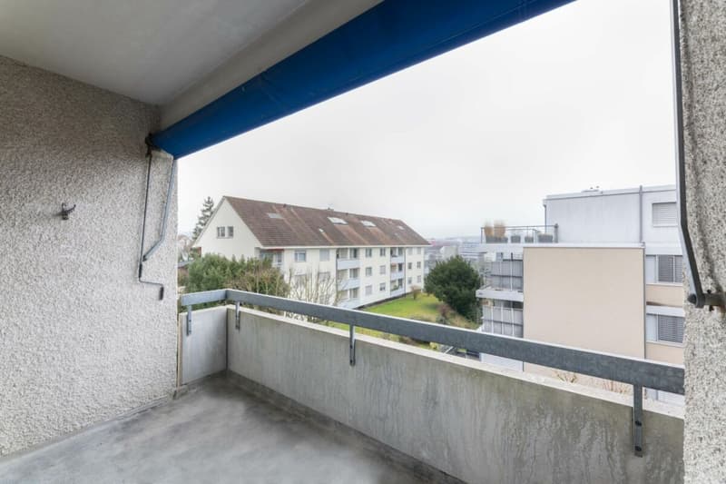Appartement 3.5 pièces à Birsfelden (14)