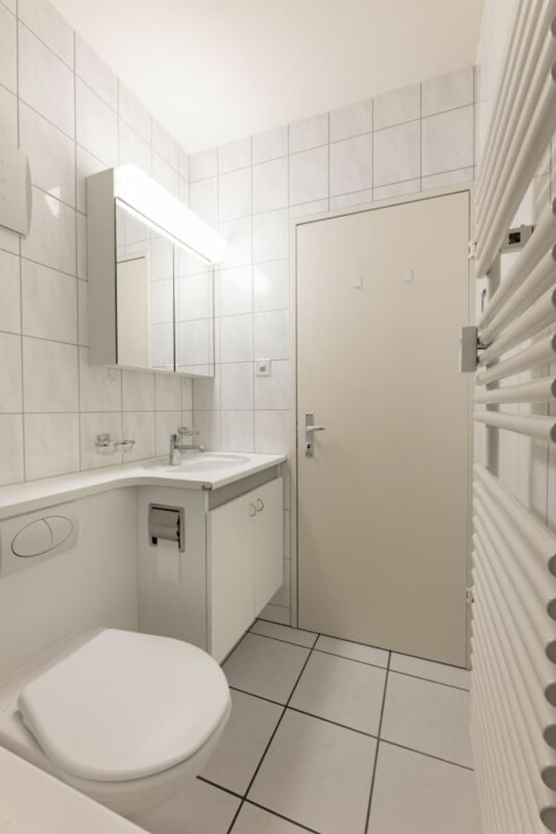 Appartement 3.5 pièces à Birsfelden (4)