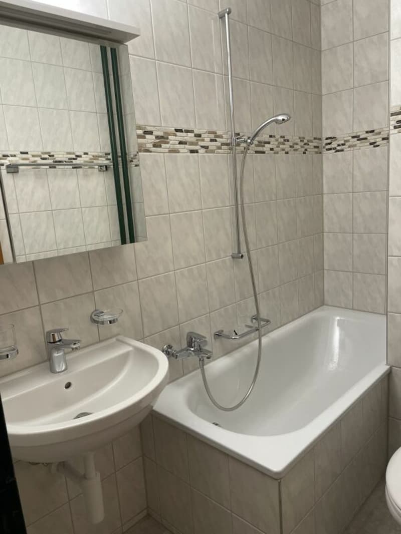 Appartamento di 3 camere ad Allschwil (7)