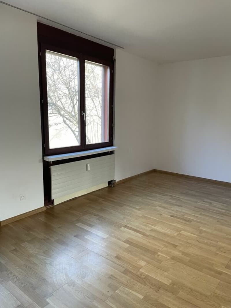 Appartamento di 3 camere ad Allschwil (5)