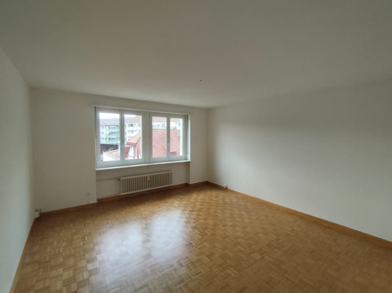 Appartamento 2 camere a Basilea (4)
