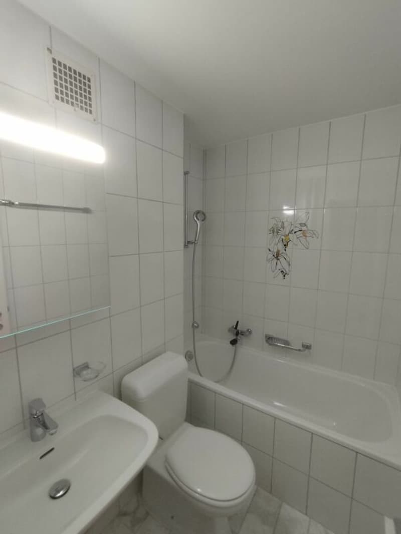 Appartamento 2 camere a Basilea (3)
