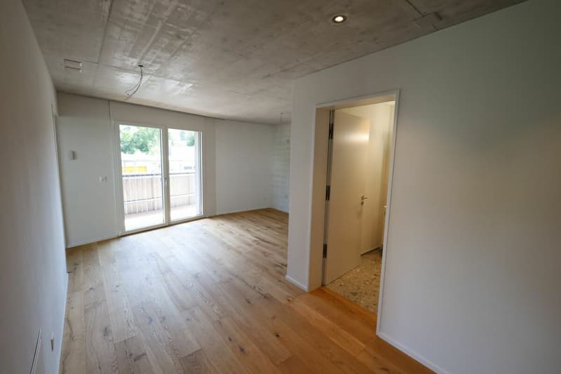 Appartements 2 pièces à Liestal (4)