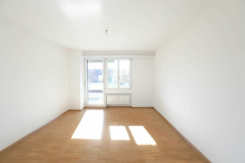Appartement moderne 4 pièces à Aesch (7)