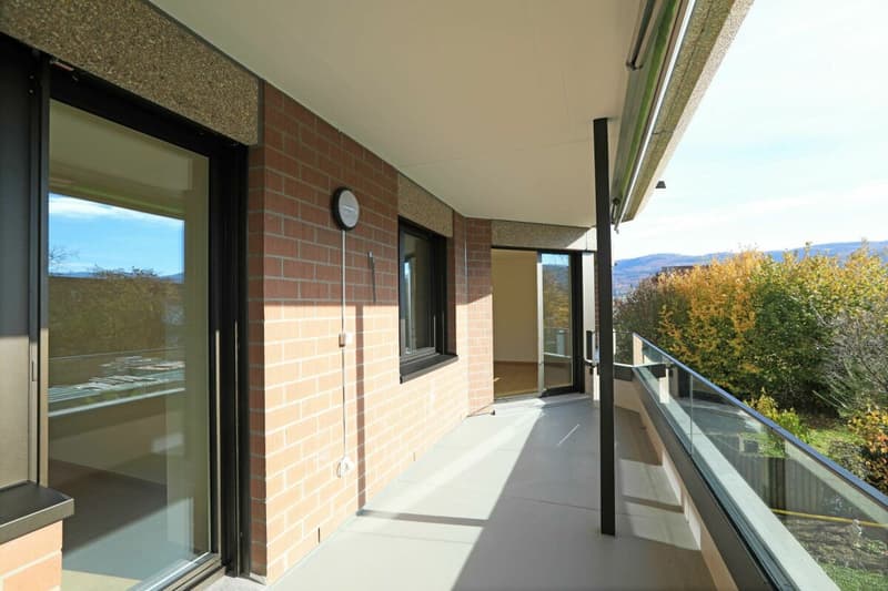 Appartement moderne 4 pièces à Aesch (9)