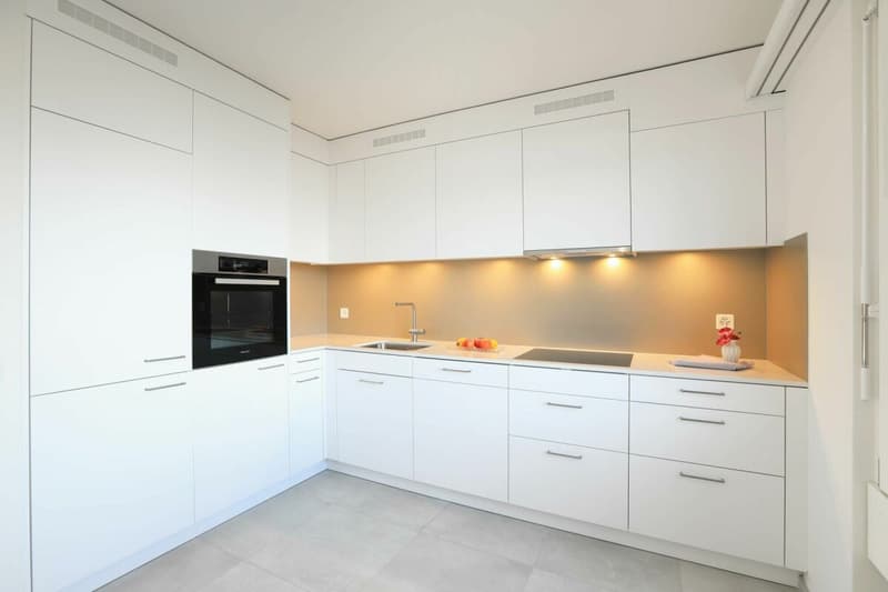 Appartement moderne 4 pièces à Aesch (1)