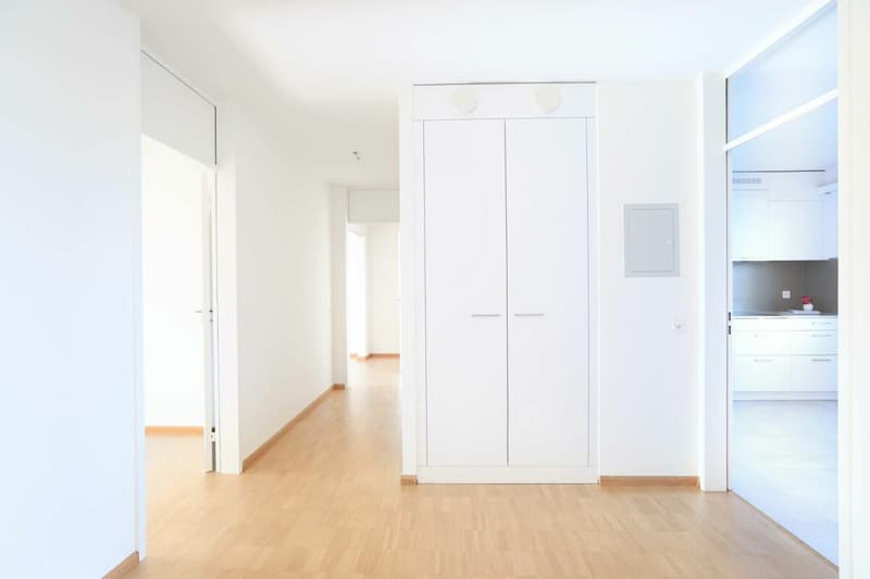 Appartement moderne 4 pièces à Aesch (8)