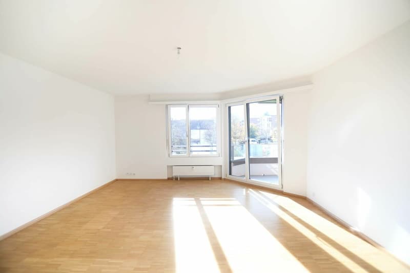 Appartement moderne 4 pièces à Aesch (5)